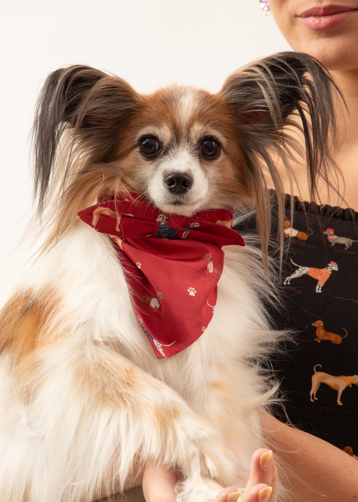 Bandana Pet Encãotrix